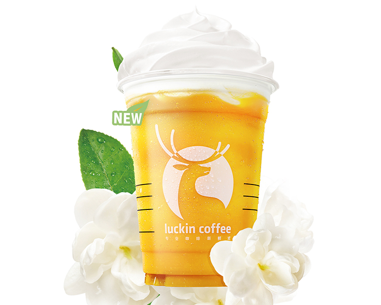 开家瑞幸咖啡店加盟费及条件，瑞幸咖啡加盟费大概多少钱