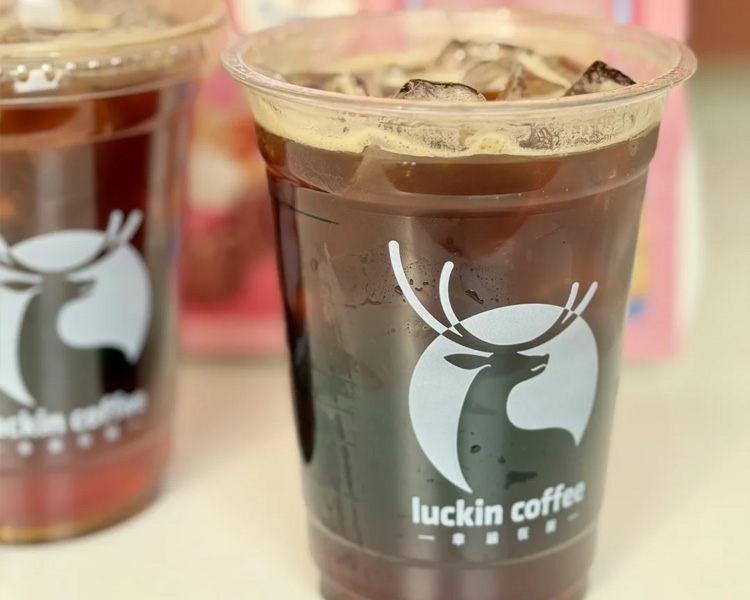 怎么开瑞幸咖啡加盟费多少钱